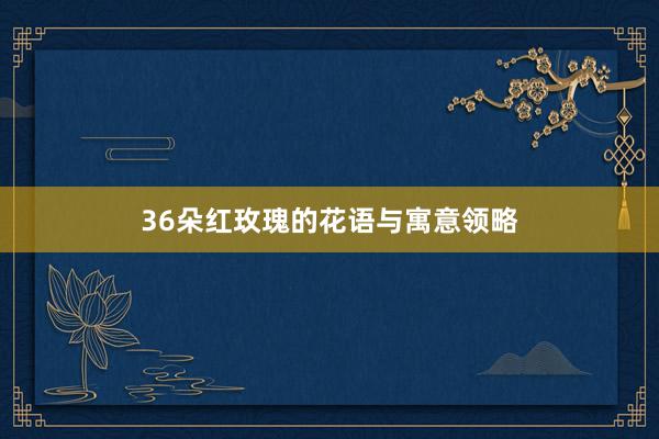 36朵红玫瑰的花语与寓意领略